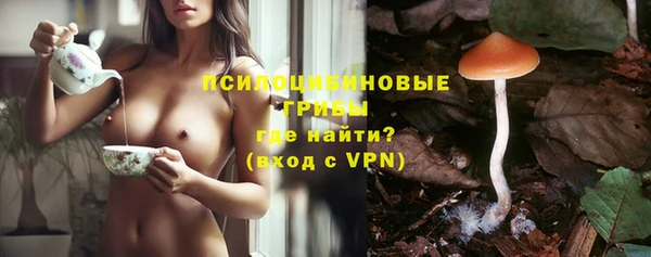 индика Алексеевка