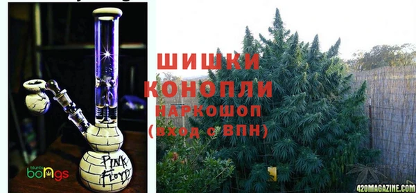 индика Алексеевка